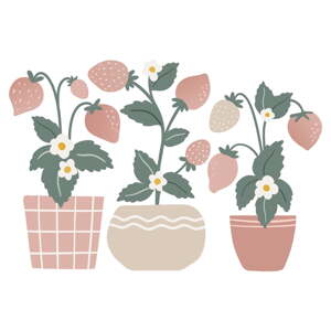 Gyerek matrica szett 3 db-os 50x34 cm Strawberries Plants – Lilipinso