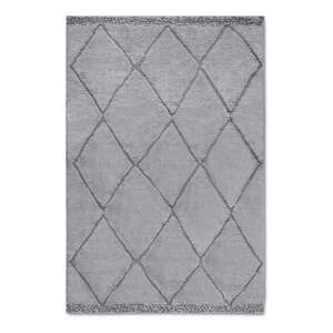 Szürke szőnyeg 160x235 cm Perrotin Light Grey – Elle Decoration